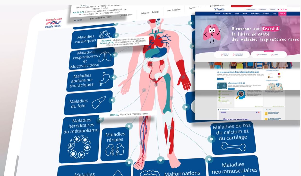 Lancement Du Site Interfilière Filieresmaladiesraresfr Respifil Filière De Santé Des 3423