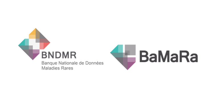 BaMaRa : nouveautés de la version 3.0 - RespiFIL - La filière de santé ...